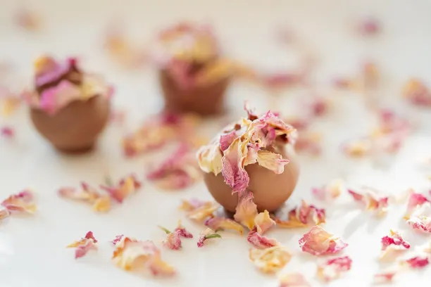 Coin365Bet Casino Android/iOS App